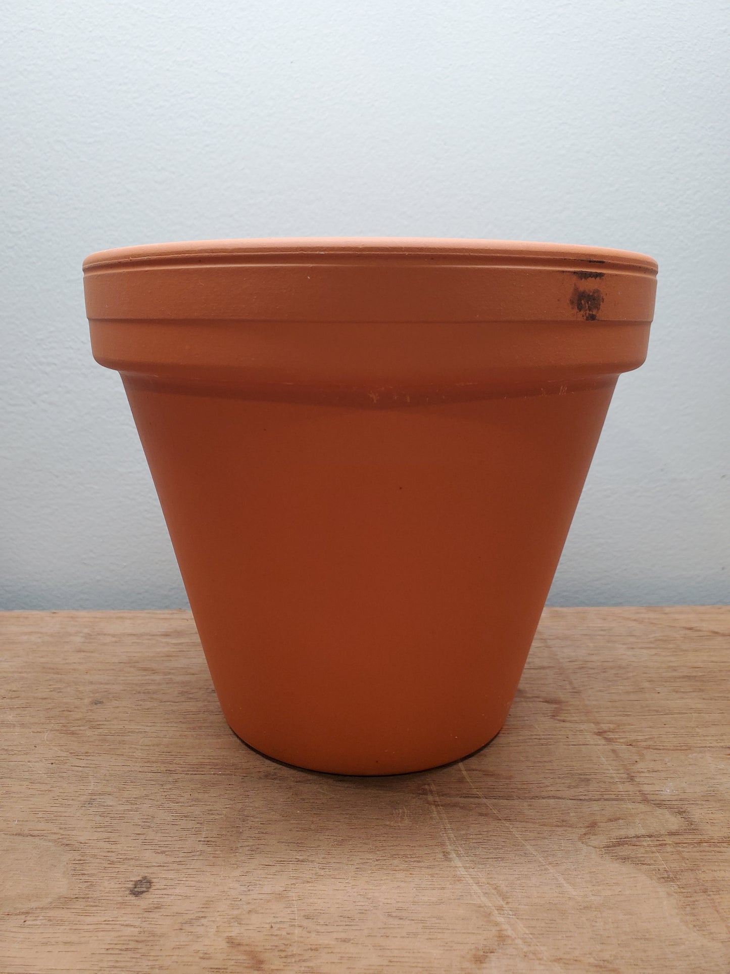 6" Terracotta Pot