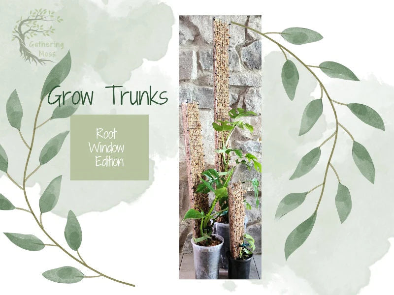 Grow Trunk 12"L 3"W Standard
