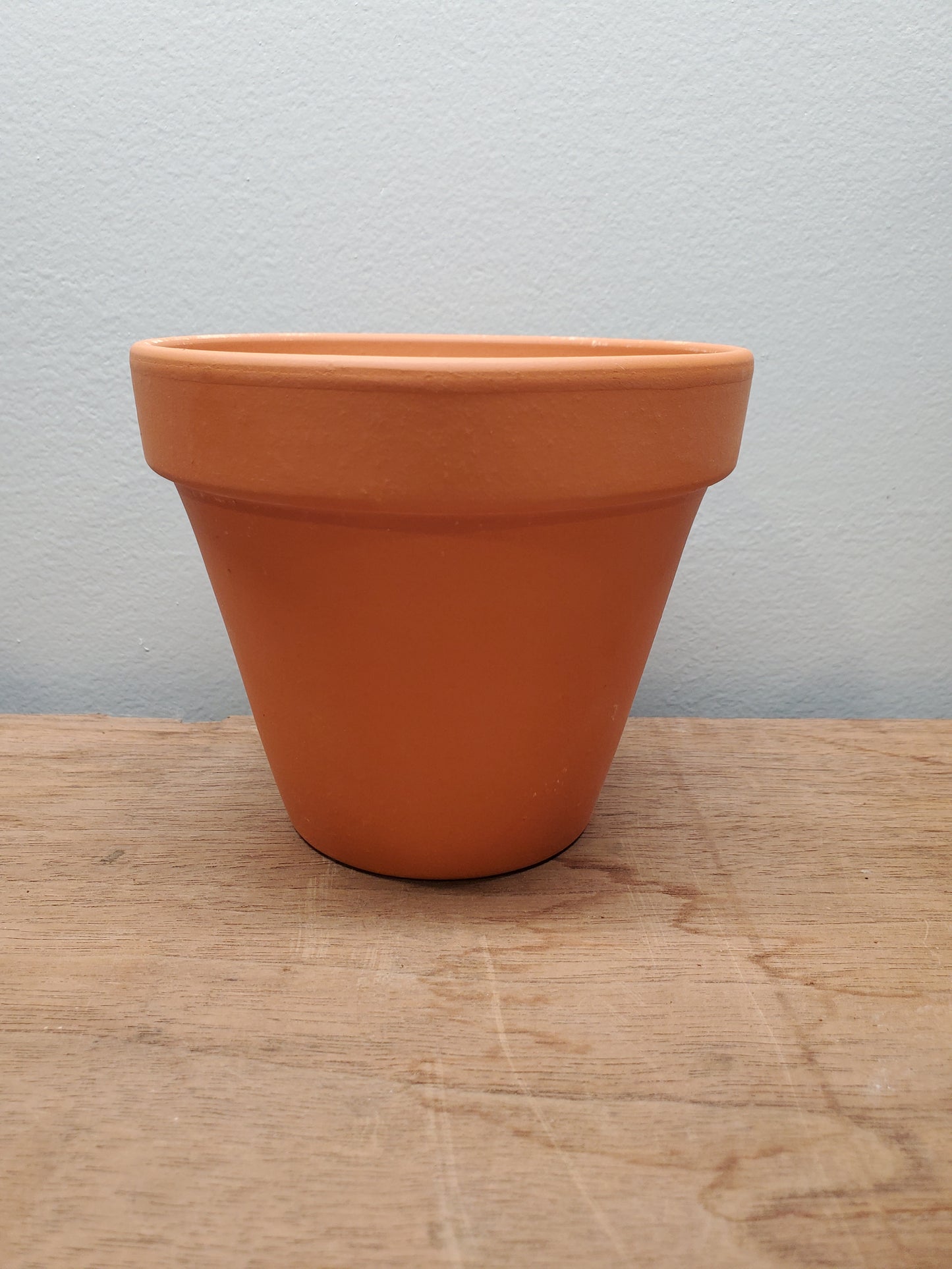 4" Terracotta Pot