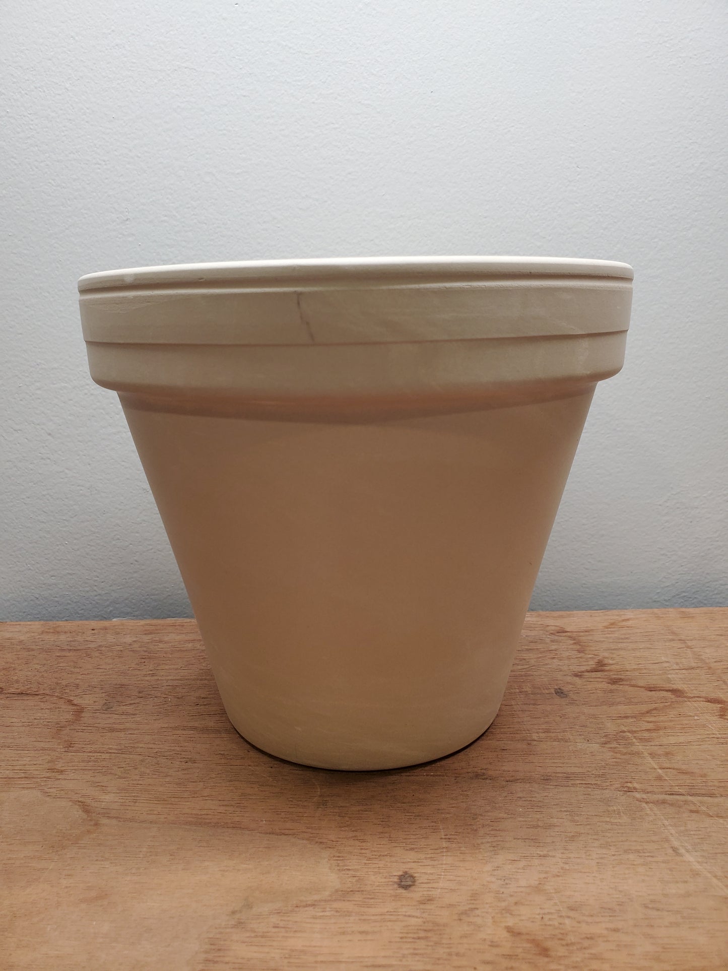 6" Terracotta Pot