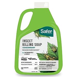 Insect Killing Soap